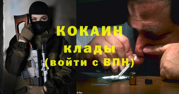 прущие грибы Нязепетровск