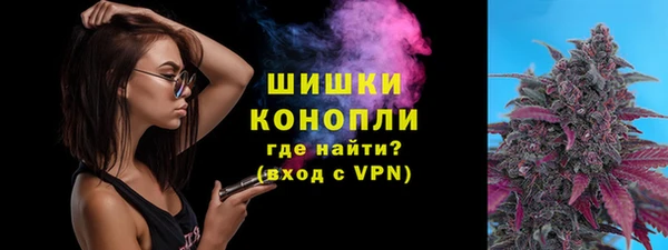 прущие грибы Нязепетровск