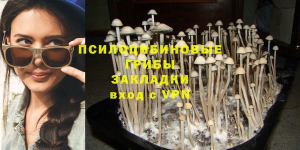 PSILOCYBIN Абдулино