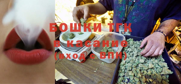 прущие грибы Нязепетровск