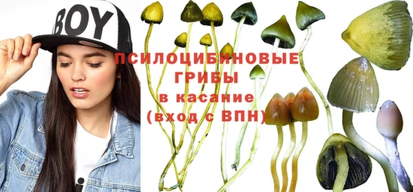 mix Горняк