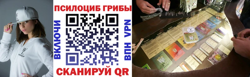 наркота  Красноармейск  Псилоцибиновые грибы мицелий 